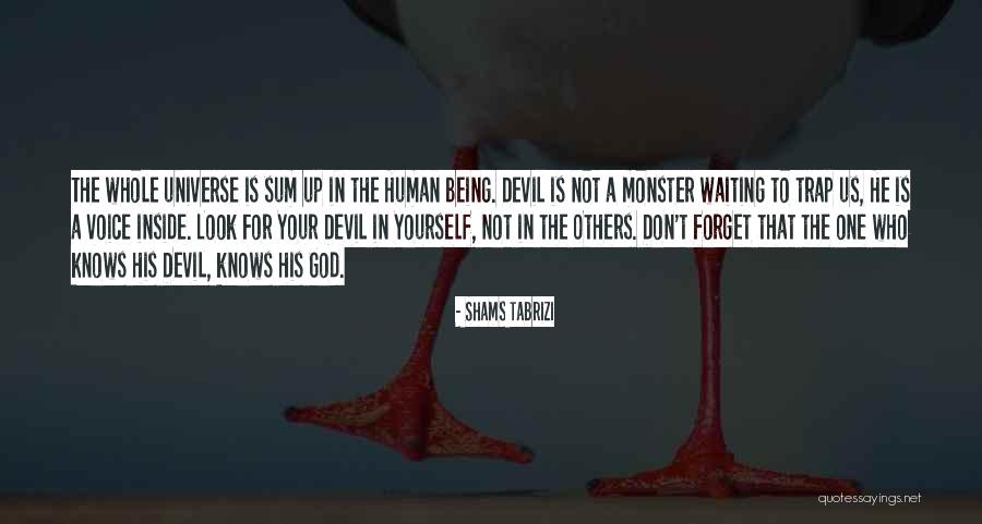 Shams Tabrizi Quotes 664719 Shams Tabrizi Quotes 664719