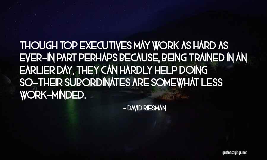Shamsud Din Quotes By David Riesman Shamsud Din Quotes By David Riesman