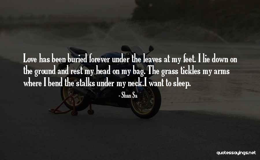 Shan Sa Quotes 97078 Shan Sa Quotes 97078