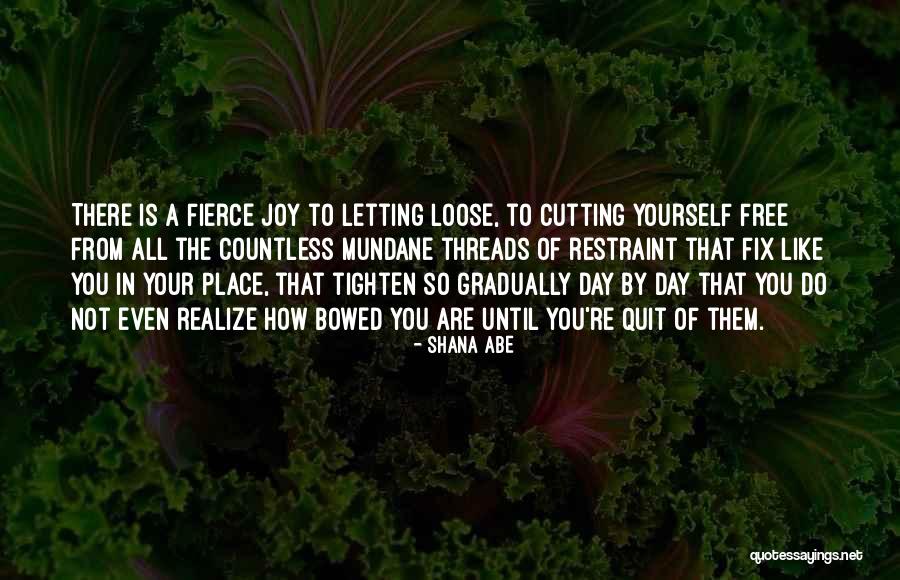 Shana Abe Quotes 1119411