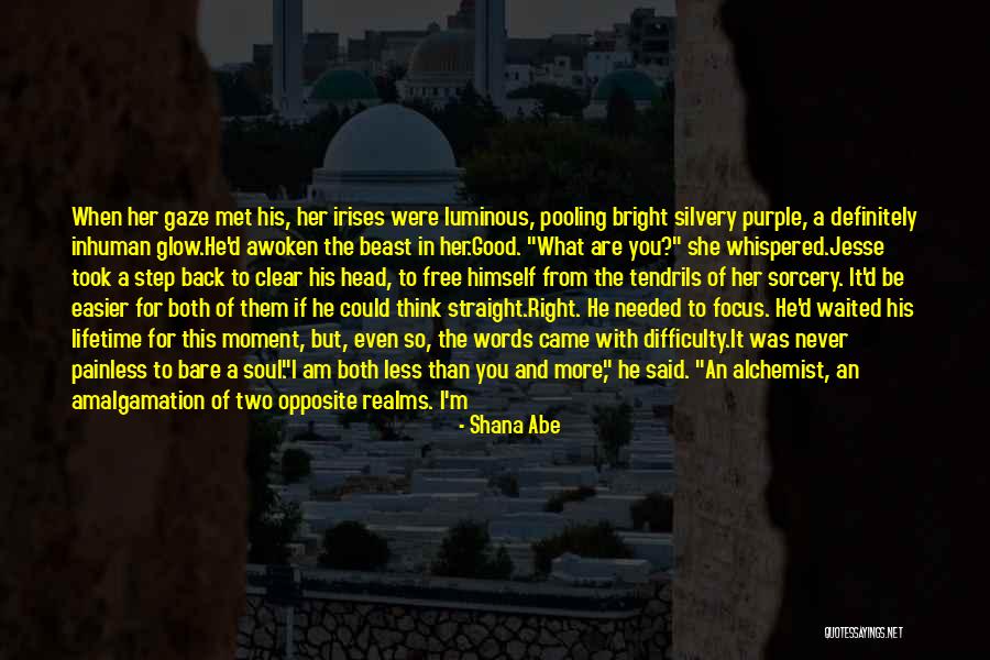 Shana Abe Quotes 1907550