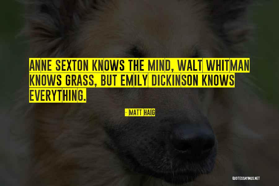 Shanahan Ford Quotes By Matt Haig Shanahan Ford Quotes By Matt Haig