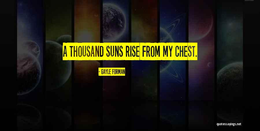 Shanasheel Quotes By Gayle Forman Shanasheel Quotes By Gayle Forman