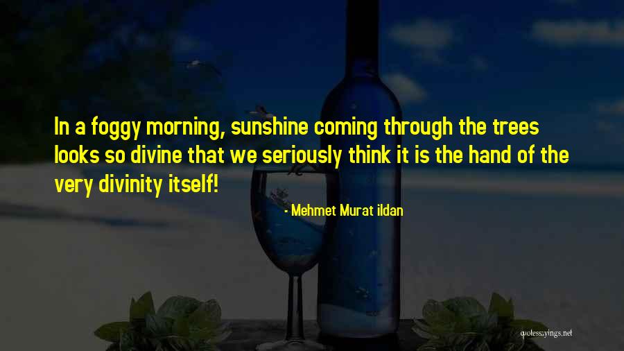 Shanaya Jenkins Quotes By Mehmet Murat Ildan Shanaya Jenkins Quotes By Mehmet Murat Ildan