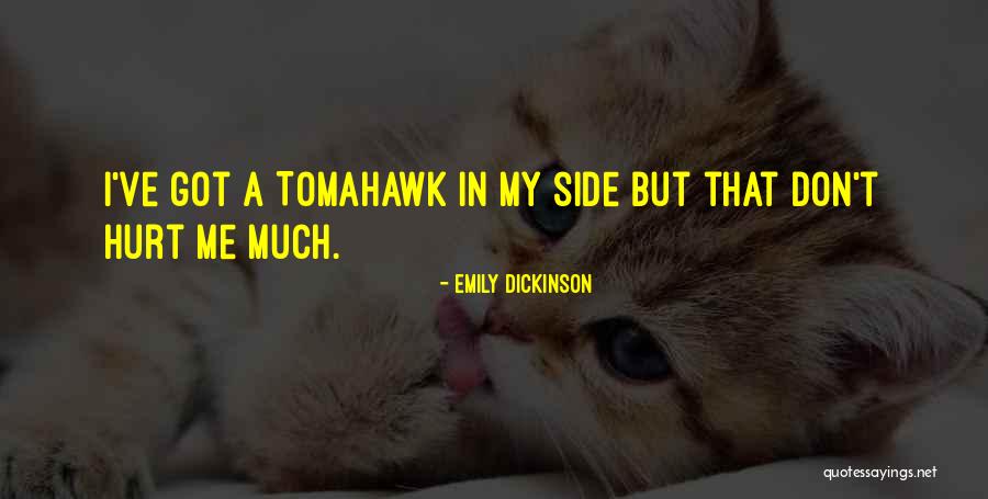 Shandeh Quotes By Emily Dickinson Shandeh Quotes By Emily Dickinson
