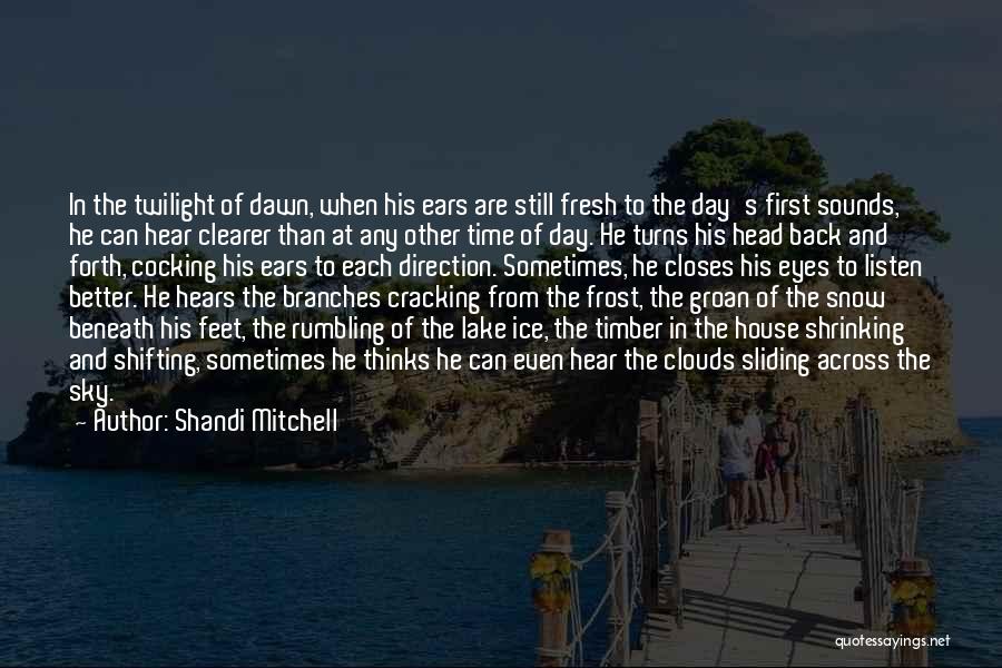 Shandi Mitchell Quotes 486907