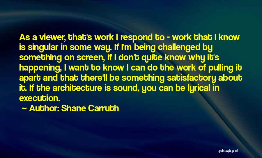 Shane Carruth Quotes 1380084