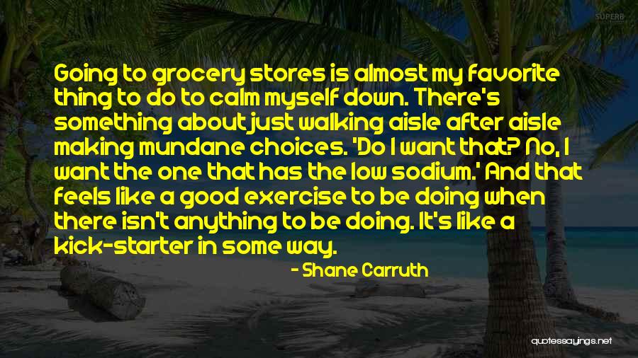 Shane Carruth Quotes 1852262 Shane Carruth Quotes 1852262