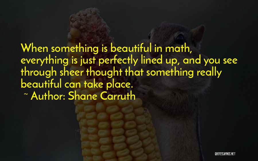 Shane Carruth Quotes 460444