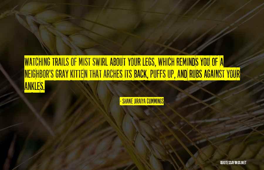 Shane Jiraiya Cummings Quotes 956014 Shane Jiraiya Cummings Quotes 956014