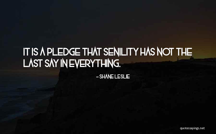 Shane Leslie Quotes 2163688 Shane Leslie Quotes 2163688