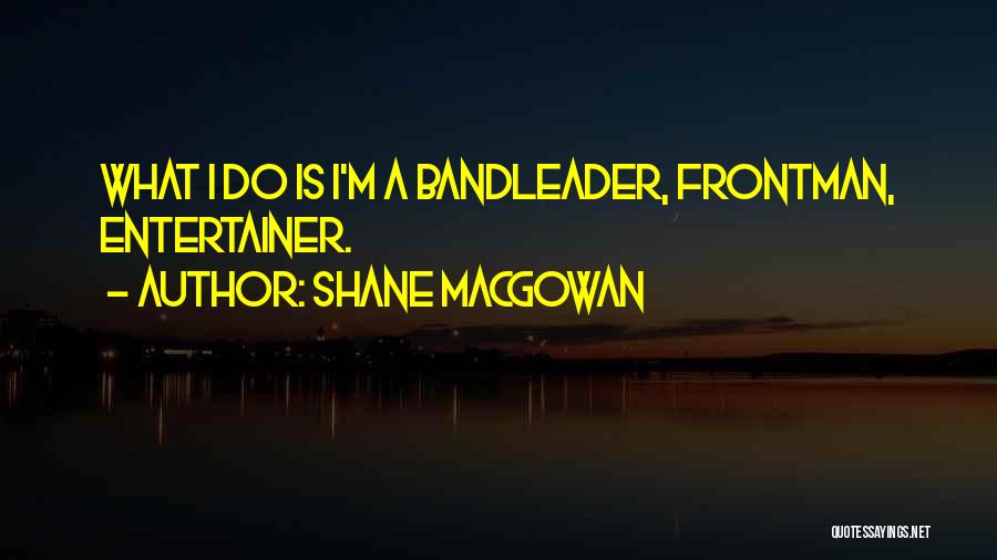 Shane MacGowan Quotes 1396095