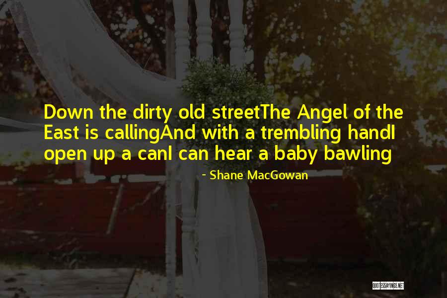 Shane MacGowan Quotes 1793593