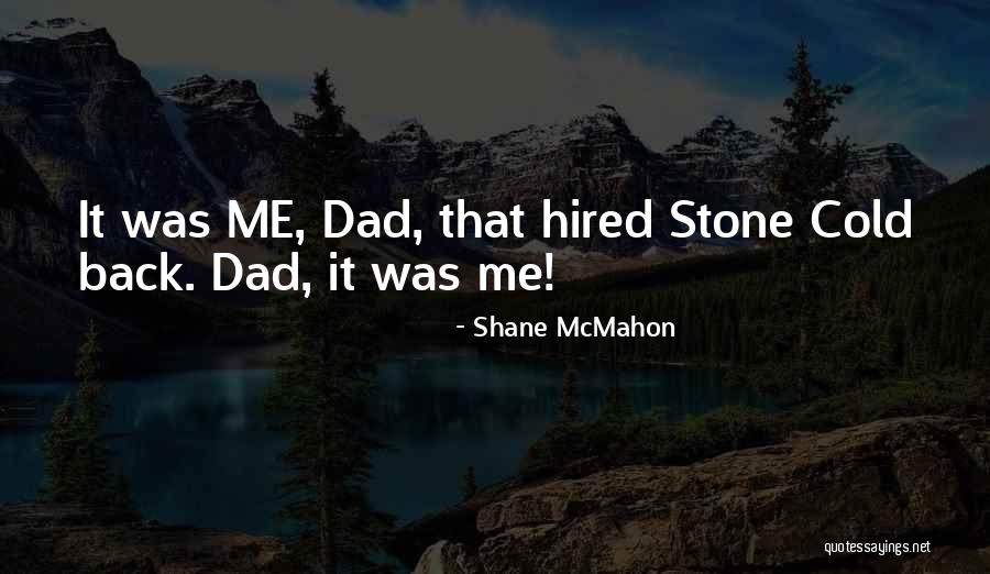 Shane McMahon Quotes 889466