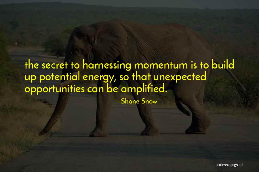 Shane Snow Quotes 371921 Shane Snow Quotes 371921