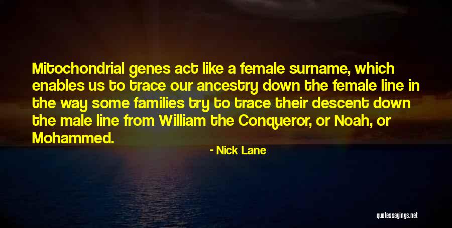 Shanella Vanhaltren Quotes By Nick Lane Shanella Vanhaltren Quotes By Nick Lane