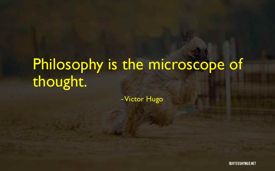Shaneyfelt Shavings Quotes By Victor Hugo