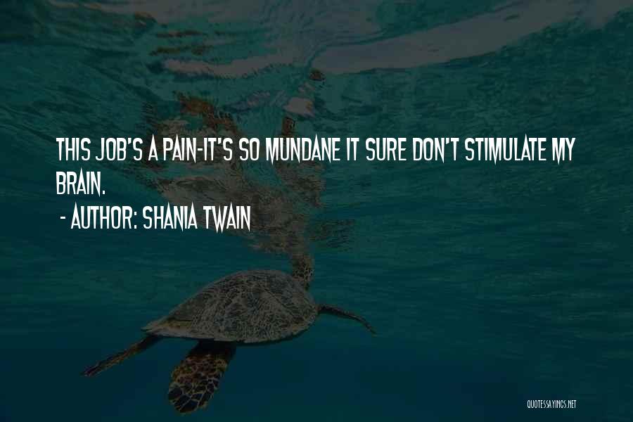 Shania Twain Quotes 1032974