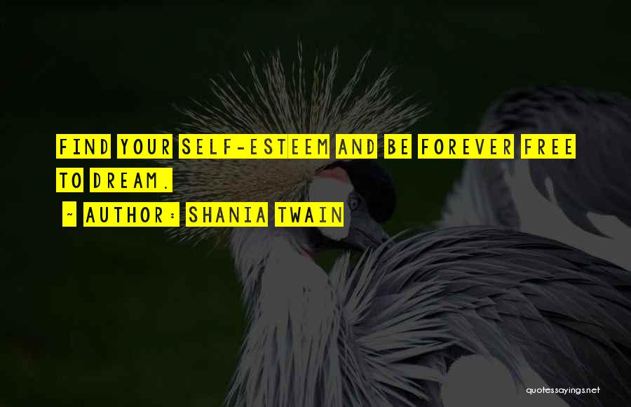 Shania Twain Quotes 1059533