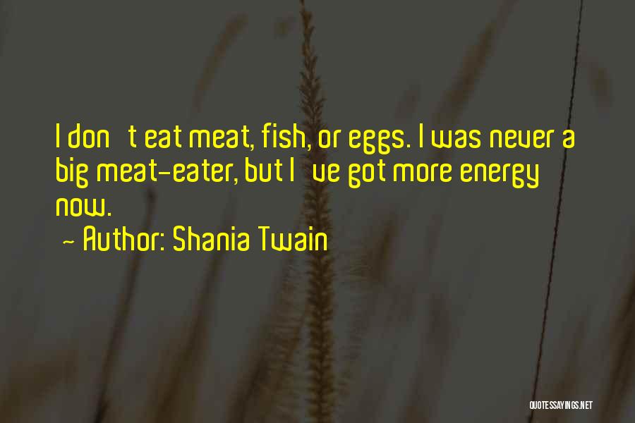 Shania Twain Quotes 1763545