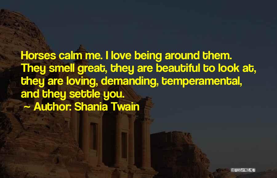 Shania Twain Quotes 2026991