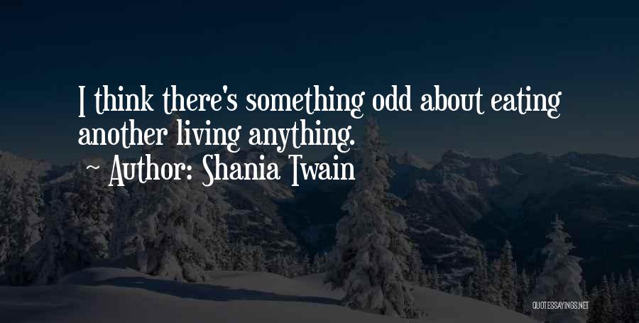 Shania Twain Quotes 805838