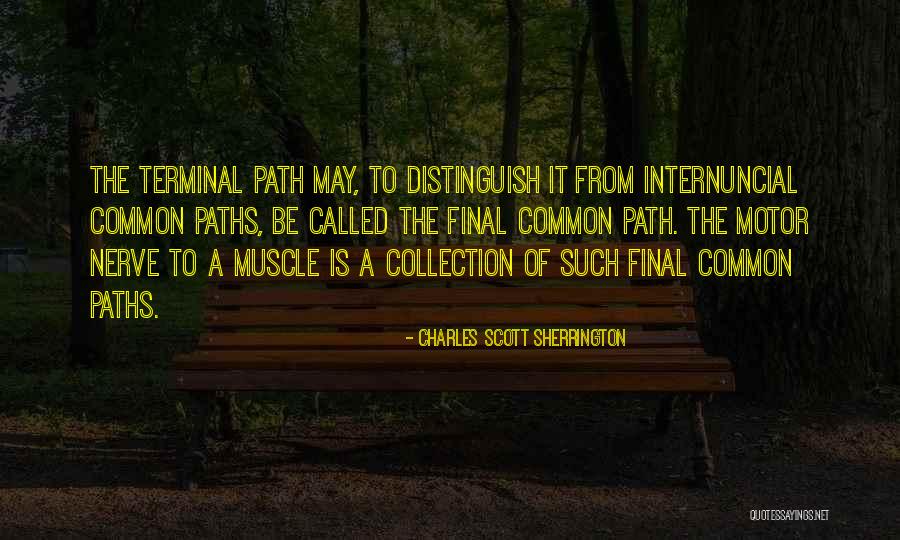 Shanieke Quotes By Charles Scott Sherrington Shanieke Quotes By Charles Scott Sherrington