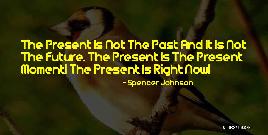 Shaniqua Martin Quotes By Spencer Johnson Shaniqua Martin Quotes By Spencer Johnson