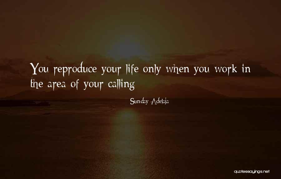 Shanise Mcgillicuddy Quotes By Sunday Adelaja Shanise Mcgillicuddy Quotes By Sunday Adelaja