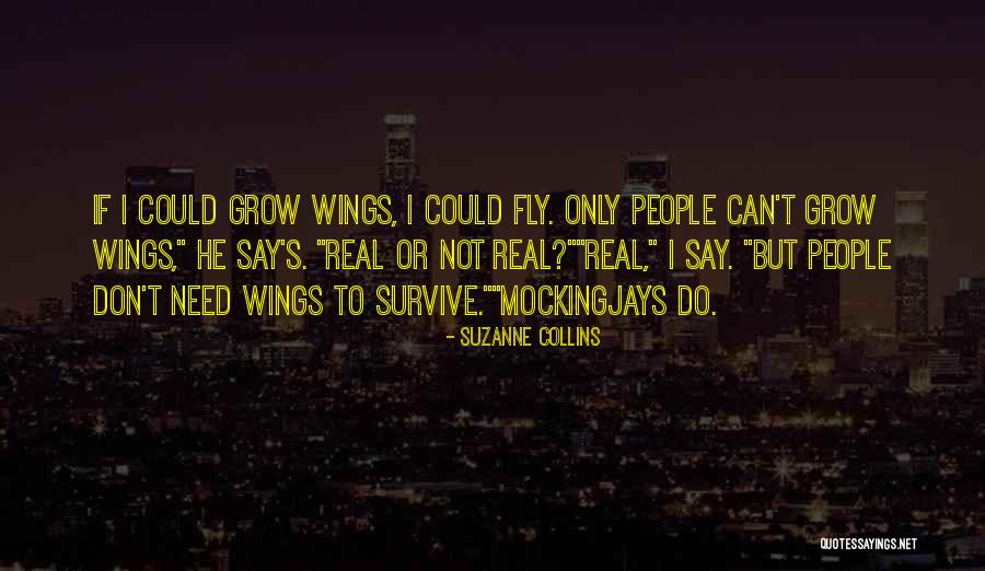 Shanise Mcgillicuddy Quotes By Suzanne Collins Shanise Mcgillicuddy Quotes By Suzanne Collins