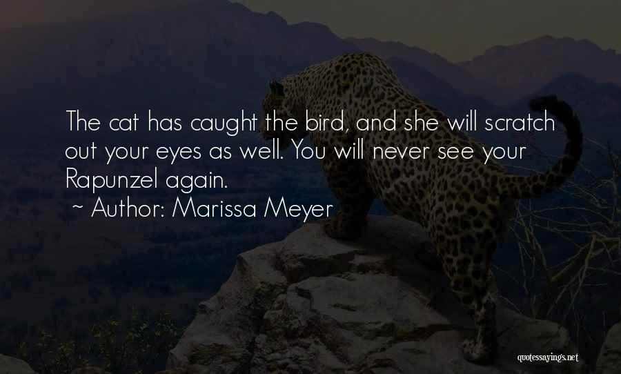 Shanly Foundation Quotes By Marissa Meyer