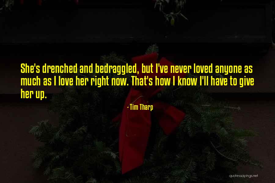 Shanly Hopkins Quotes By Tim Tharp Shanly Hopkins Quotes By Tim Tharp