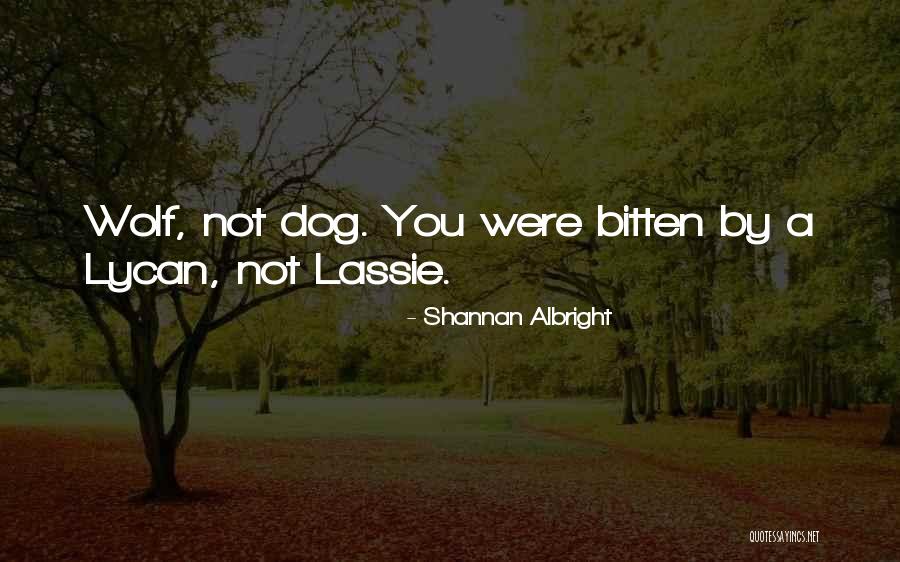 Shannan Albright Quotes 2242212 Shannan Albright Quotes 2242212