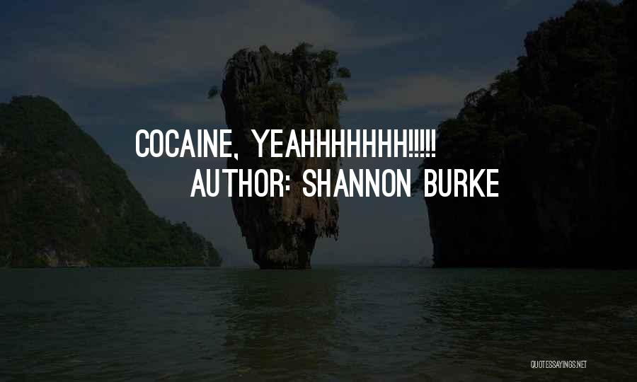 Shannon Burke Quotes 1409813