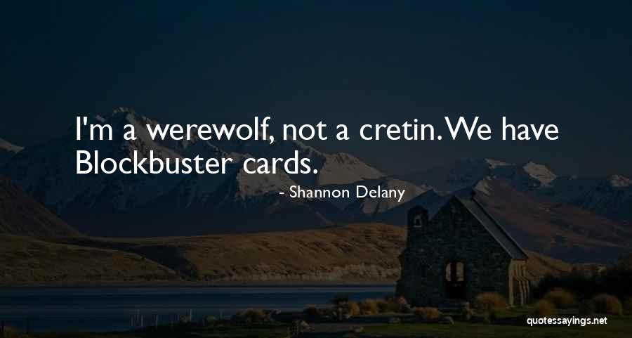 Shannon Delany Quotes 1048875