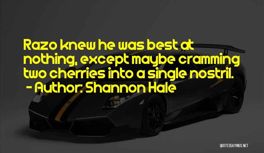 Shannon Hale Quotes 590057