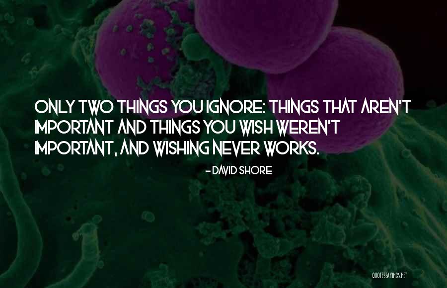 Shansea Quotes By David Shore Shansea Quotes By David Shore
