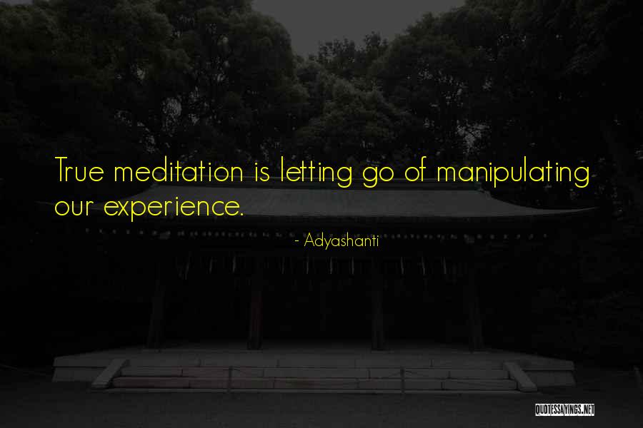 Shantall Lacayo Quotes By Adyashanti Shantall Lacayo Quotes By Adyashanti