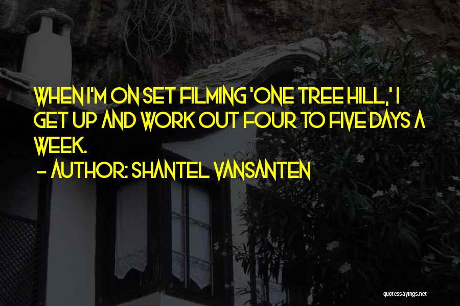 Shantel VanSanten Quotes 1619322