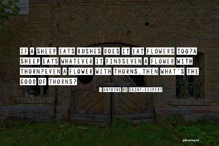 Shantese Quotes By Antoine De Saint-Exupery Shantese Quotes By Antoine De Saint-Exupery