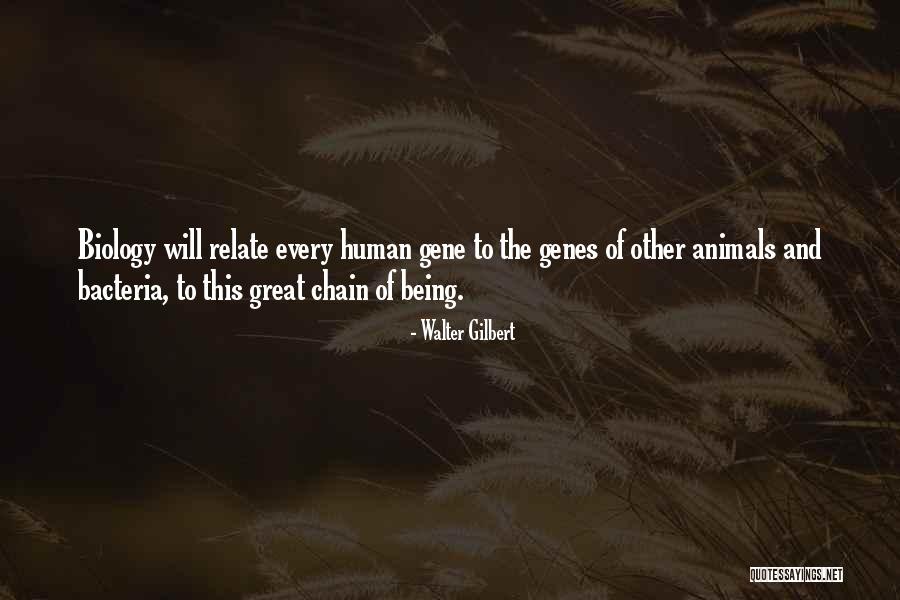 Shaolin Soccer Quotes By Walter Gilbert Shaolin Soccer Quotes By Walter Gilbert