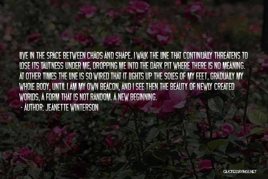 Shape And Form Quotes By Jeanette Winterson