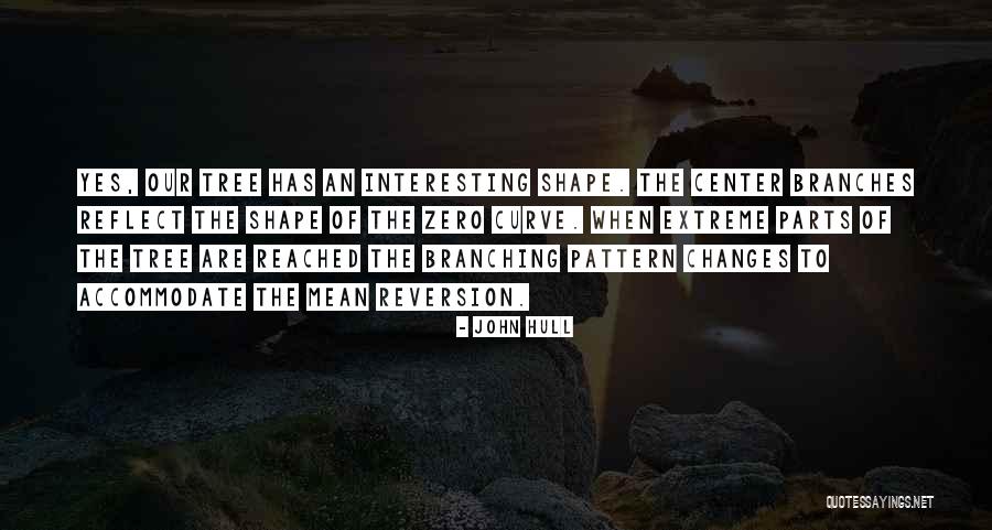 Shape Changes Quotes By John Hull Shape Changes Quotes By John Hull