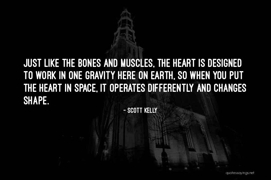 Shape Changes Quotes By Scott Kelly Shape Changes Quotes By Scott Kelly
