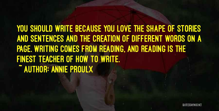 Shape Of You Quotes By Annie Proulx