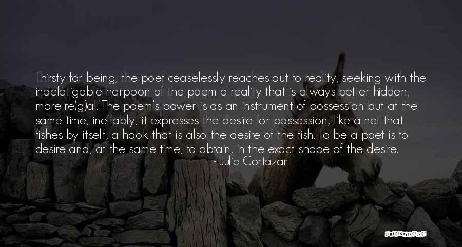 Shape Reality Quotes By Julio Cortazar Shape Reality Quotes By Julio Cortazar