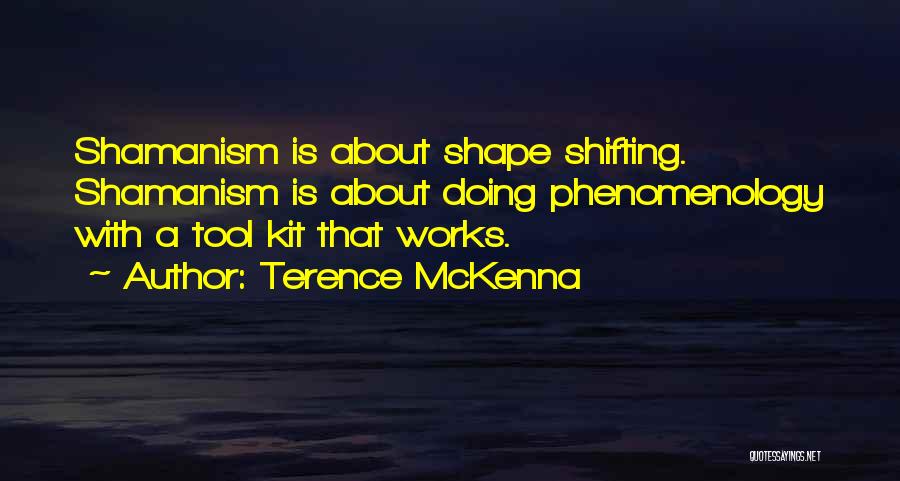 Shape Shifting Quotes By Terence McKenna