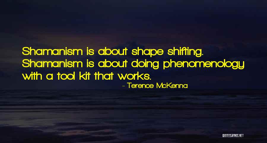 Shape Shifting Quotes By Terence McKenna