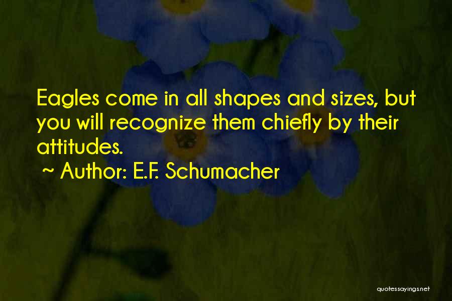 Shapes And Sizes Quotes By E.F. Schumacher