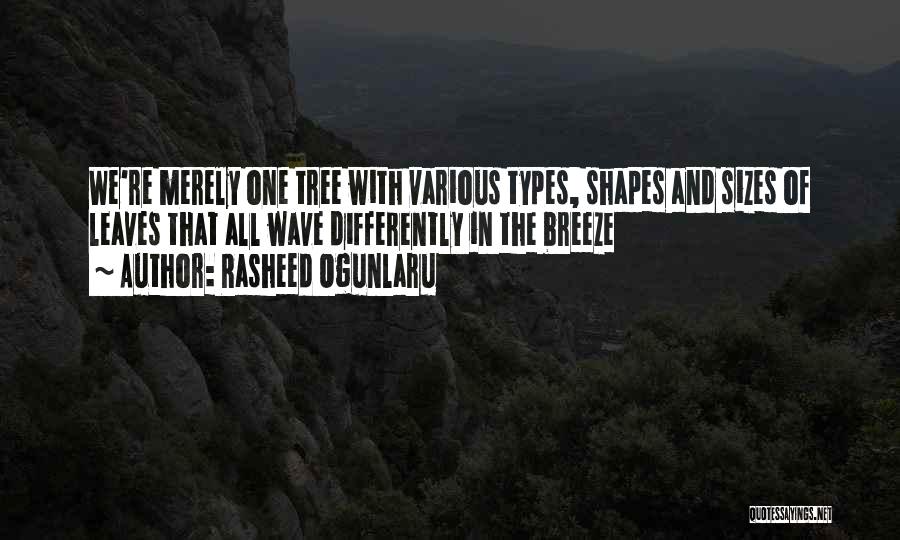 Shapes And Sizes Quotes By Rasheed Ogunlaru